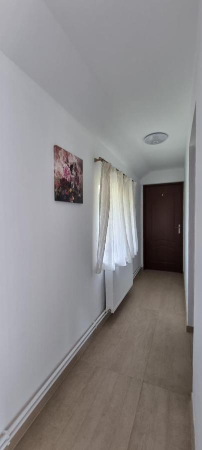 Cusali Pensiune Topolovatu Mare Bagian luar foto